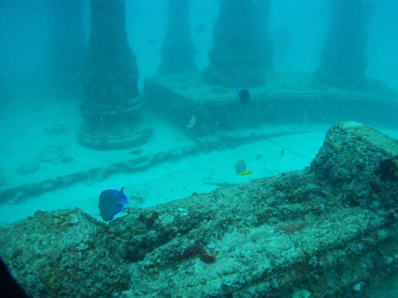 cemetry3 Мемориал Нептуна: подводное кладбище у берегов Флориды