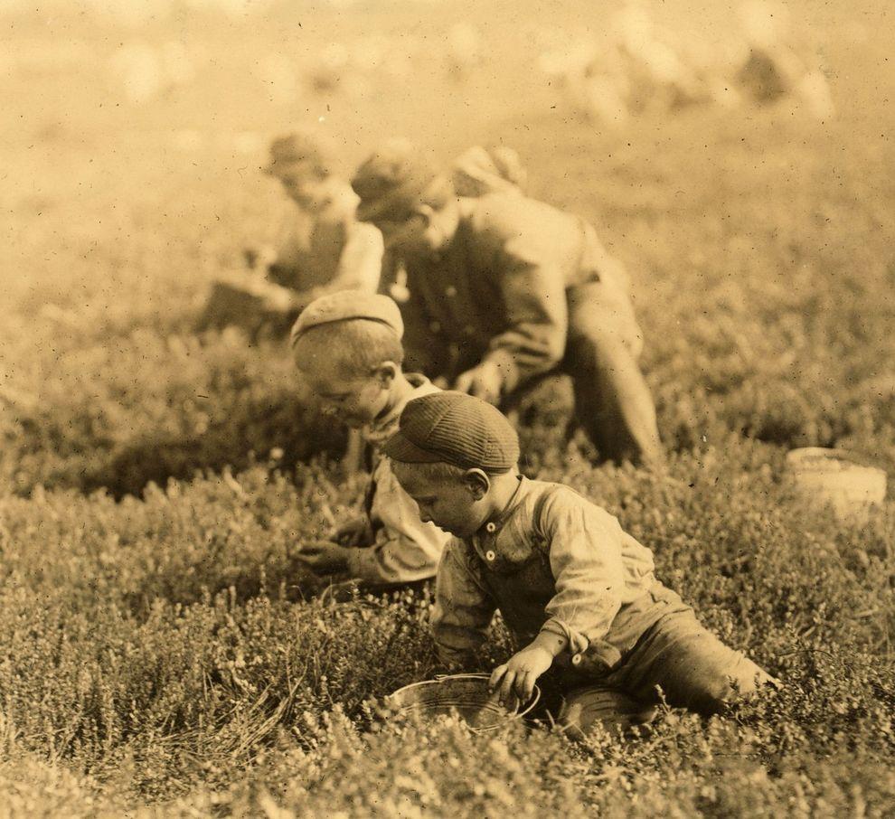 Childlabour08 Детский труд в Америке в начале 20 го века