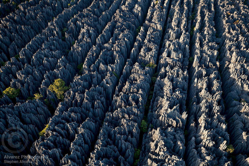 MM7820 090512 15046 xgaplus Каменный лес на Мадагаскаре