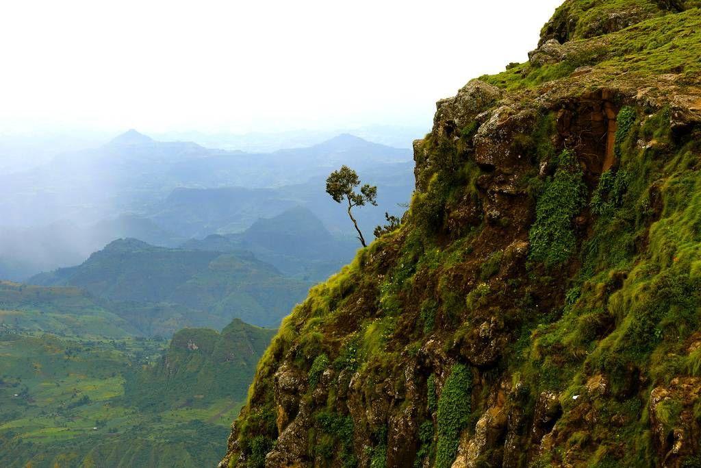 RoofofAfrica19 «Крыша Африки»: впечатляющая красота Эфиопского нагорья