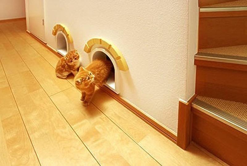 cathouse04 Дизайн для котов