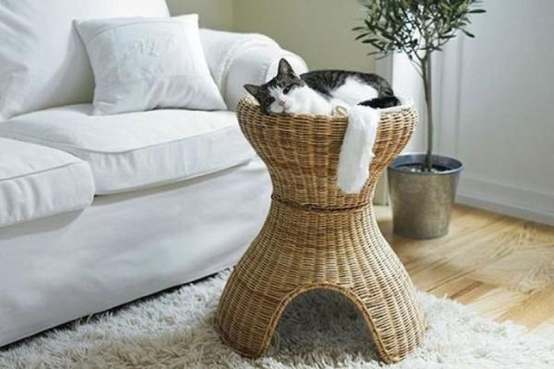 cathouse09 Дизайн для котов