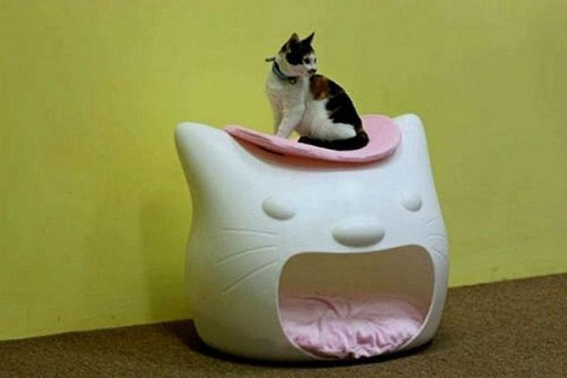 cathouse12 Дизайн для котов