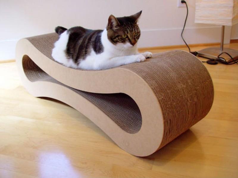 cathouse21 Дизайн для котов
