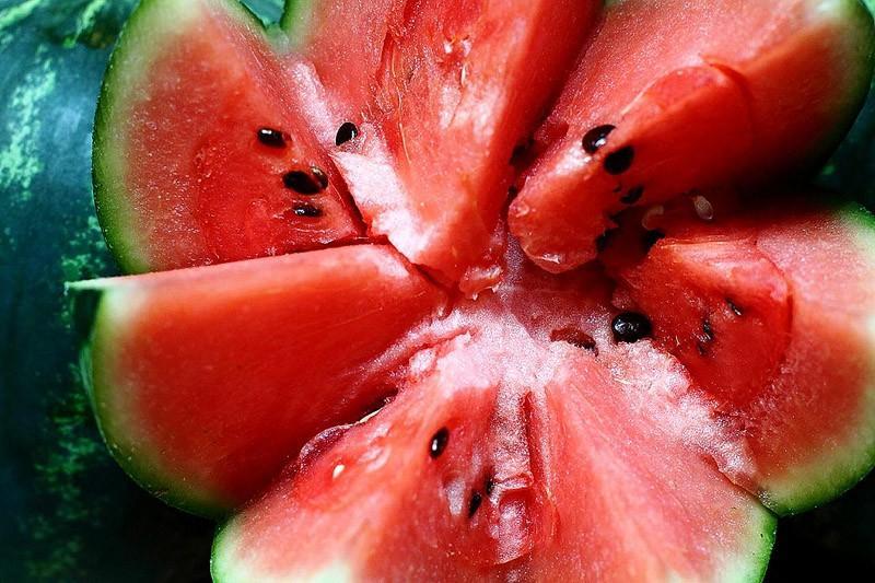 melon00 Арбузное счастье в 10 удивительных рецептах