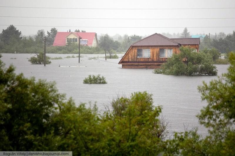 amur26 800x533 Наводнение в Благовещенске