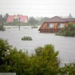 amur26 800x5331 150x150 Наводнение в Болгарии