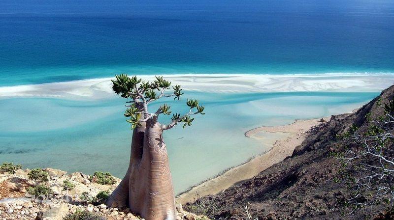 Socotra03 Удивительный остров Сокотра