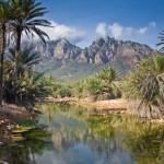 Socotra08 150x150 Скалистые острова Палау