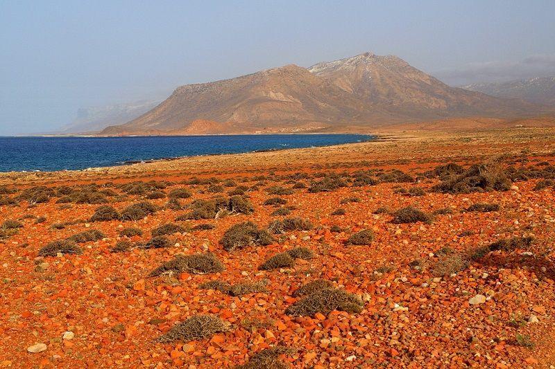Socotra17 Удивительный остров Сокотра