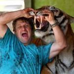 Tigerpet01 150x150 Жизнь с тиграми