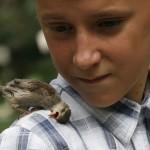 boy n sparrow05 800x5521 150x150 История о птенце воробья и человеческой доброте