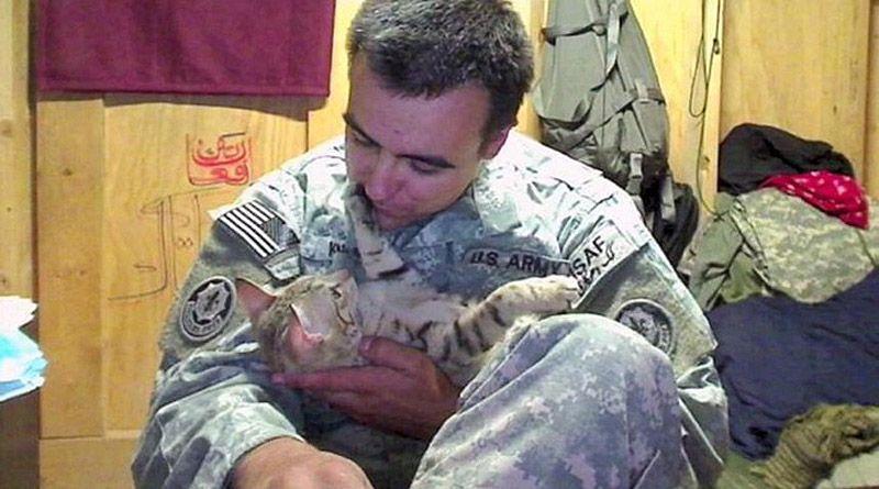 catsoldier02 Американский солдат привез из Афганистана кота