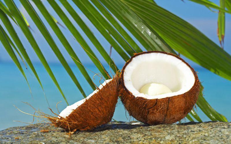 coconut07 10 удивительных фактов о кокосах