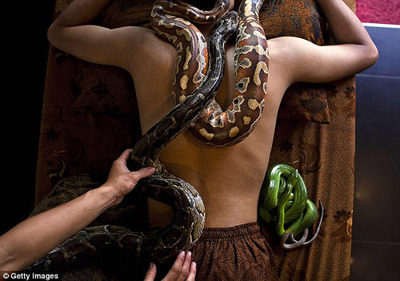 snakemassage02 Змеиный массаж