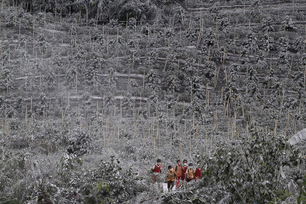 Sinabung08 Вулканическая зима на Суматре   последствие извержения вулкана Синабунг
