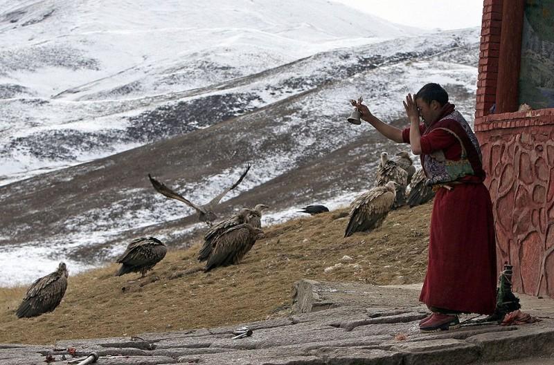 jhator16 800x528 Небесное погребение в Тибете