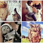 BIGPIC35 150x150 Топ 10 самых популярных животных в Instagram