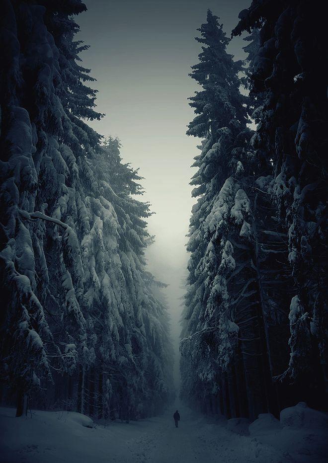 WinterLandscapes01 Восхитительные зимние пейзажи