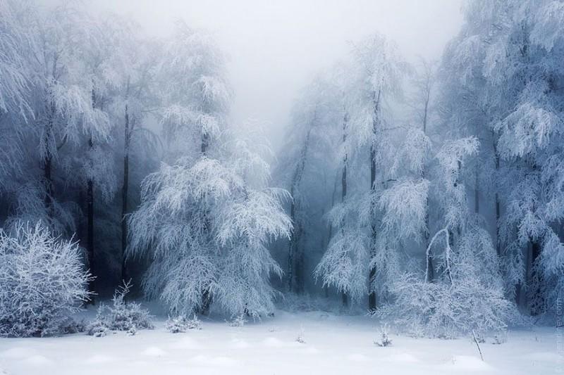 WinterLandscapes06 800x533 Восхитительные зимние пейзажи