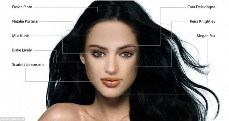 idealface02 800x424 Как воспринимают женскую красоту мужчины и женщины