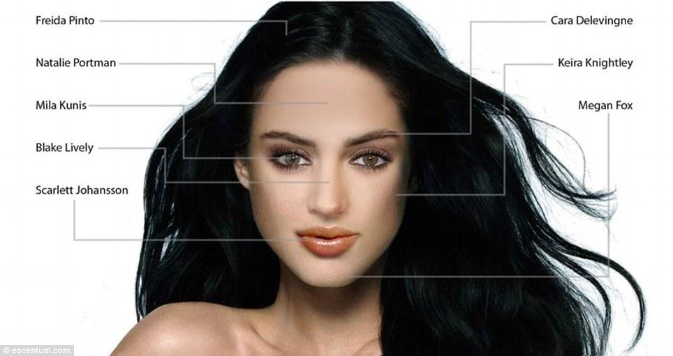 idealface02 Как воспринимают женскую красоту мужчины и женщины