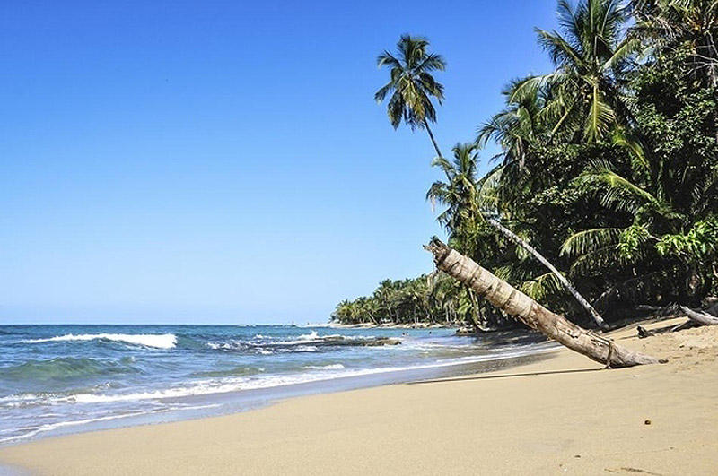 weed05 25 стран, в которых легче всего забить косячок