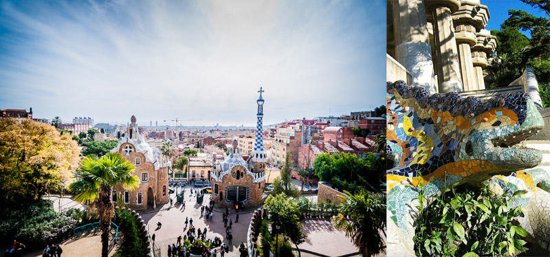 weed24 25 стран, в которых легче всего забить косячок