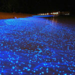 BioluminescentBeaches01 150x150 Невероятные фото серфинга в полузамёрзшем озере