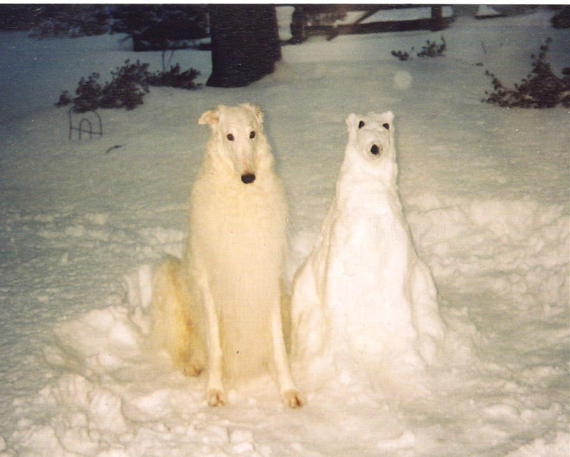 snowmen21 Такие разные снеговики