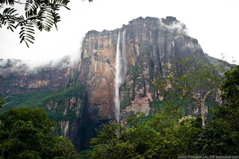 AngelFalls08 800x533 Анхель   самый высокий в мире водопад