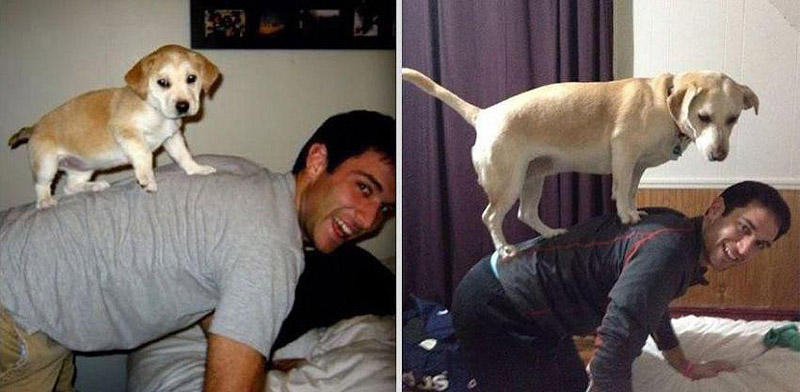 GrowingUp03 Наши любимые животные: фото до и после взросления