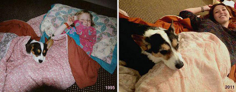 GrowingUp07 Наши любимые животные: фото до и после взросления
