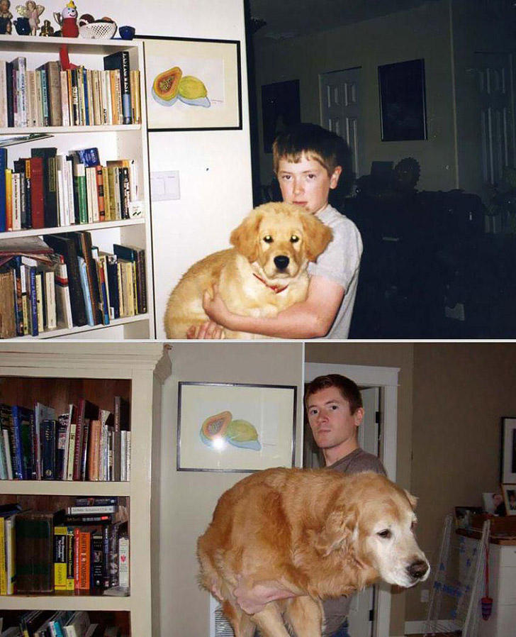GrowingUp22 Наши любимые животные: фото до и после взросления