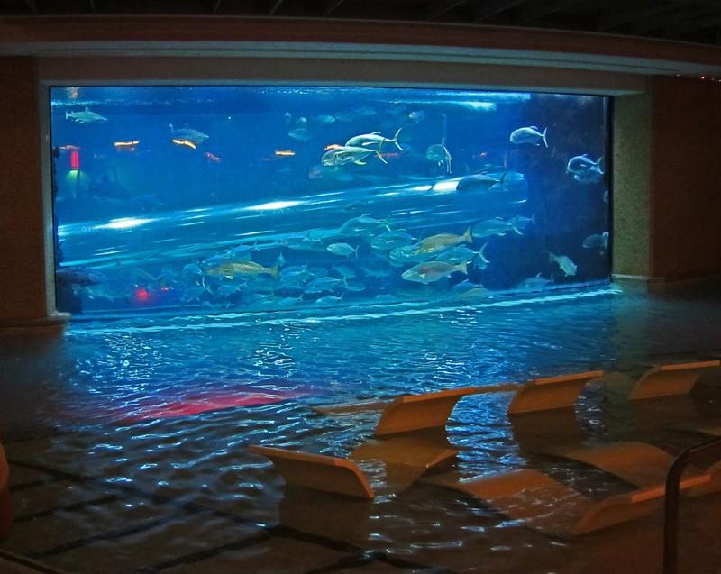 pools06 10 самых невероятных бассейнов в отелях мира