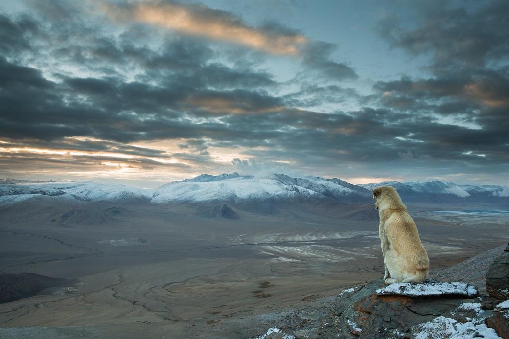  Фотоконкурс National Geographic Traveler — 2014