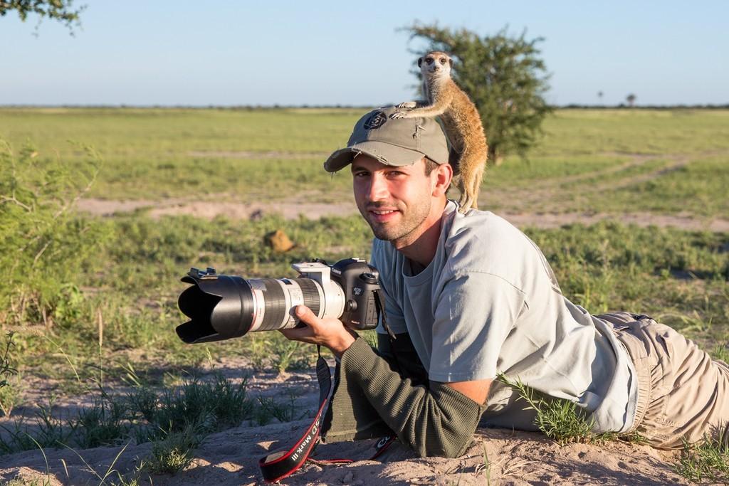 meerkats06 Дружба между сурикатами и фотографом