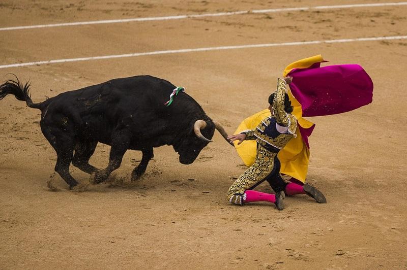 boy bykov 0 Испанские быки одержали историческую победу