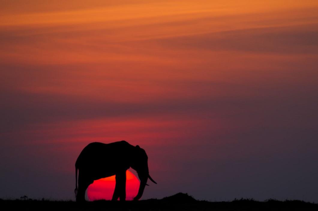 afrikanskie zakaty 10 Потрясающие африканские закаты от Пола Гольдштейна