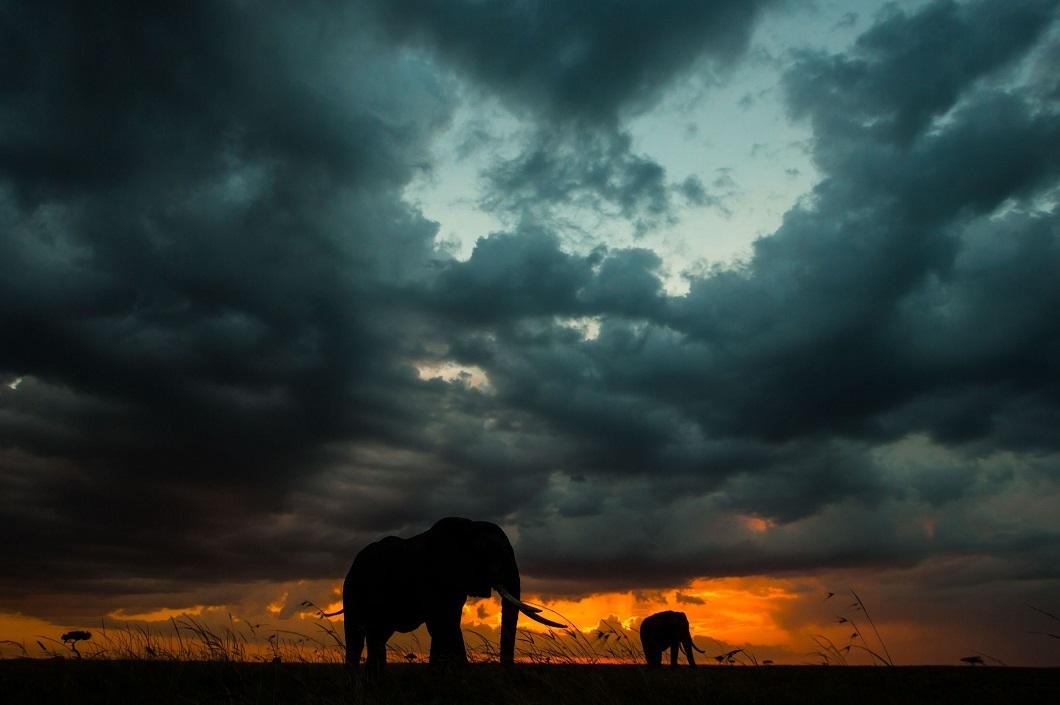 afrikanskie zakaty 7 Потрясающие африканские закаты от Пола Гольдштейна