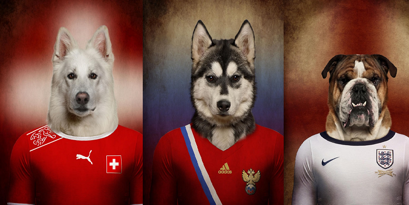 sobaki i futbol 0 Собаки, одетые в формы национальных сборных мира