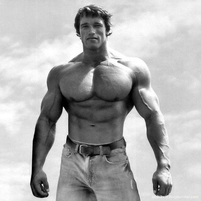 Schwarzenegger21 История успеха Арнольда Шварценеггера