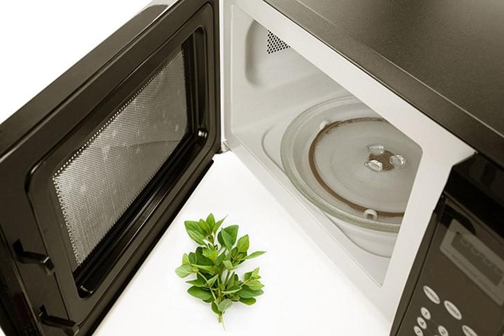 microwave15 25 гениальных советов по использованию микроволновой печи не по прямому назначению