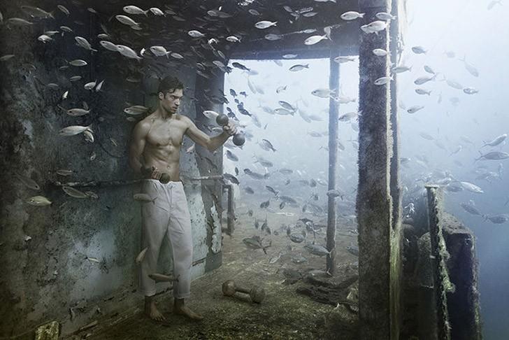  Жизнь на затонувшем корабле: подводный мир фотографа и дайвера Андреаса Франке