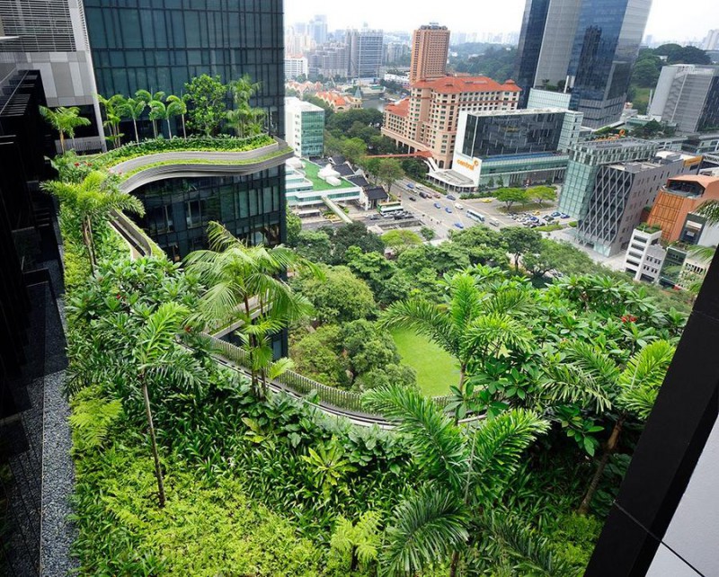 Parkroyal17 800x642 Уникальный сад на фасаде отеля в Сингапуре