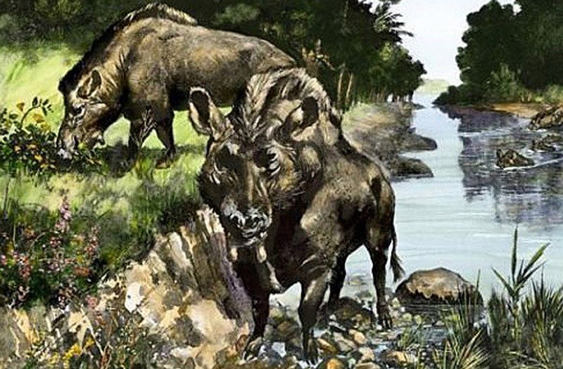 ExtinctCreatures08 Слава богу, они вымерли! 25 ужасных тварей, которые когда то населяли Землю
