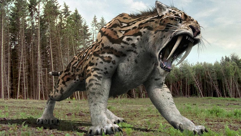 ExtinctCreatures15 Слава богу, они вымерли! 25 ужасных тварей, которые когда то населяли Землю