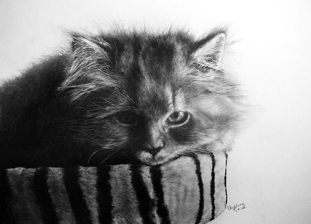 drawncats05 Мастер карандашного наброска — Пол Ланг