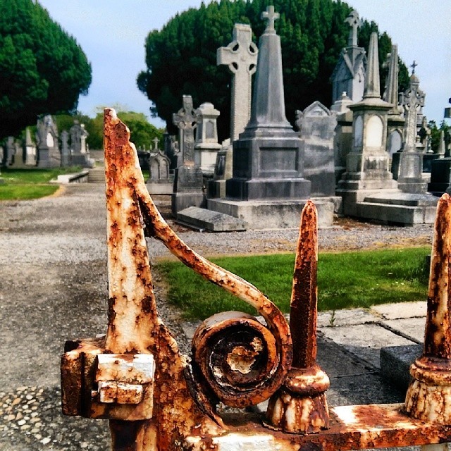 tripadvisorcemetery14 Хэллоуин: 20 самых популярных кладбищ мира у пользователей TripAdvisor