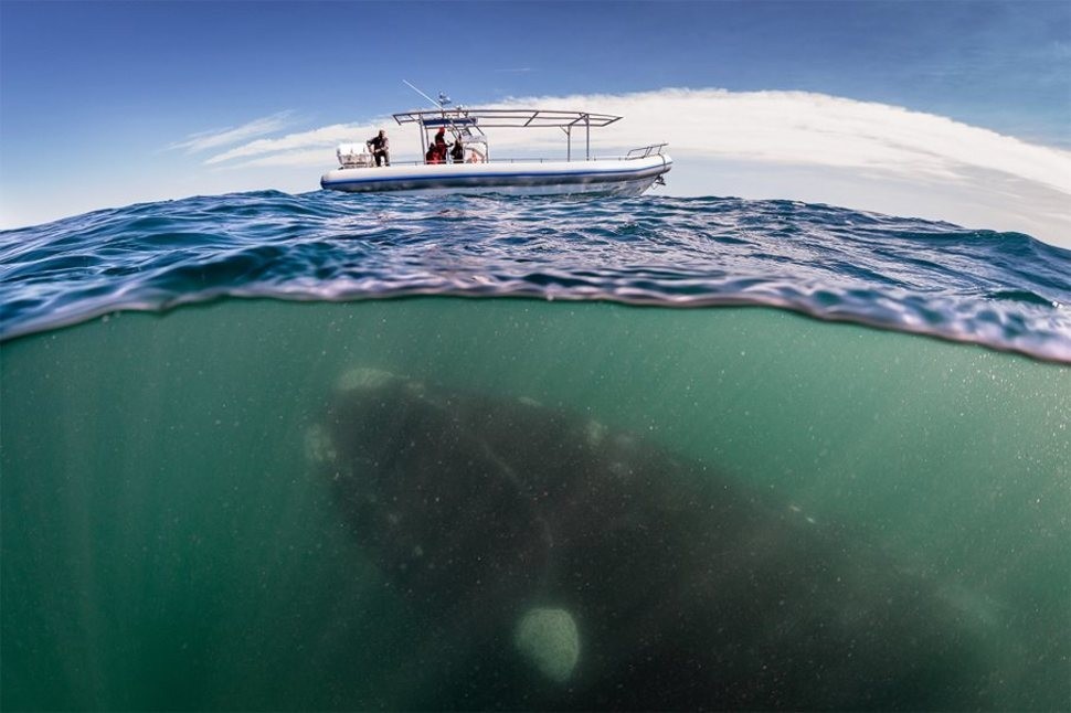 underwater02 Что скрывается под водой: 34 невероятные фотографии
